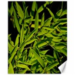 Bamboo Canvas 11  x 14  (Unframed) 10.95 x13.48  Canvas - 1