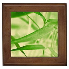 Bamboo Framed Ceramic Tile by Siebenhuehner