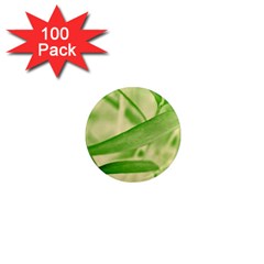 Bamboo 1  Mini Button Magnet (100 Pack)