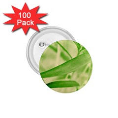 Bamboo 1 75  Button (100 Pack)