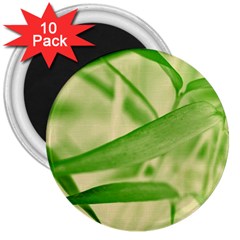 Bamboo 3  Button Magnet (10 Pack) by Siebenhuehner