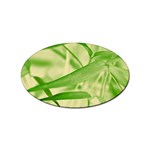 Bamboo Sticker (Oval) Front