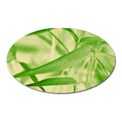 Bamboo Magnet (oval)