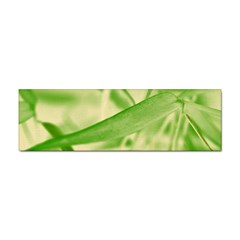 Bamboo Bumper Sticker 10 Pack by Siebenhuehner