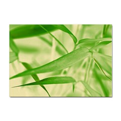 Bamboo A4 Sticker 10 Pack by Siebenhuehner