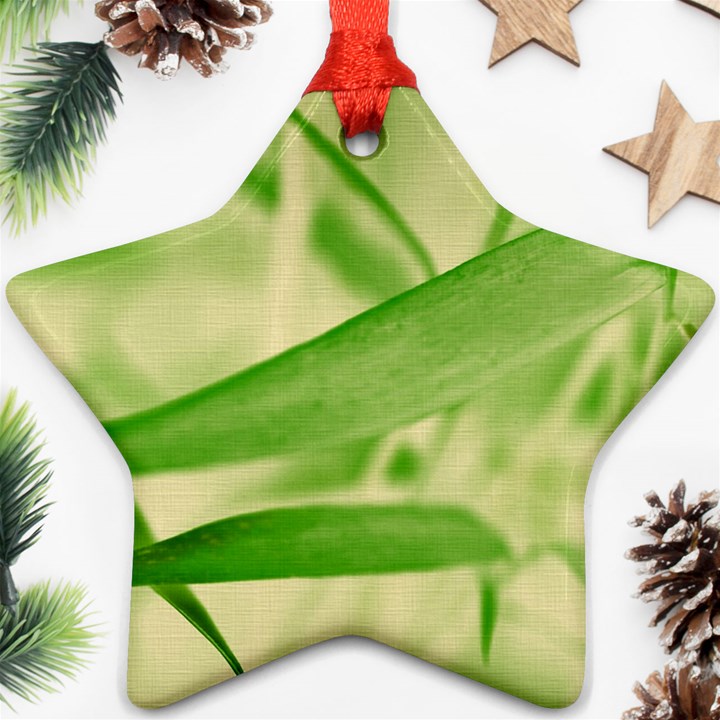 Bamboo Star Ornament (Two Sides)