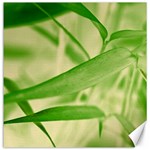 Bamboo Canvas 12  x 12  (Unframed) 11.4 x11.56  Canvas - 1