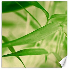 Bamboo Canvas 16  X 16  (unframed) by Siebenhuehner