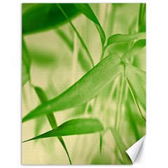 Bamboo Canvas 18  X 24  (unframed)