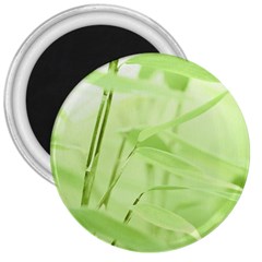 Bamboo 3  Button Magnet