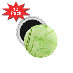 Bamboo 1 75  Button Magnet (10 Pack) by Siebenhuehner