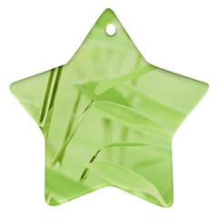 Bamboo Star Ornament (two Sides) by Siebenhuehner