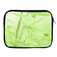 Bamboo Apple Ipad 2/3/4 Zipper Case by Siebenhuehner