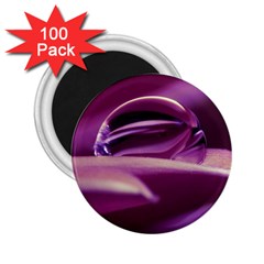 Waterdrop 2 25  Button Magnet (100 Pack)