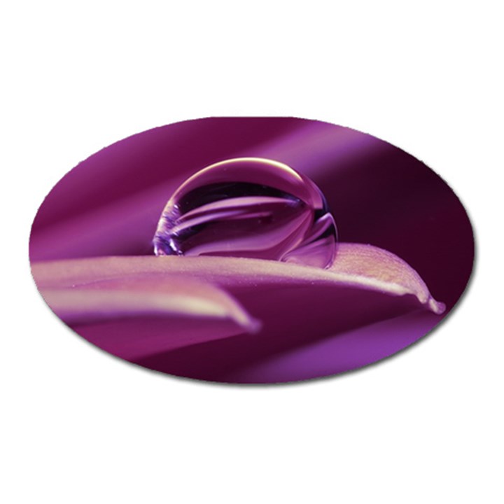 Waterdrop Magnet (Oval)