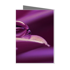 Waterdrop Mini Greeting Card (8 Pack) by Siebenhuehner