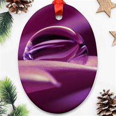 Waterdrop Oval Ornament (two Sides) by Siebenhuehner