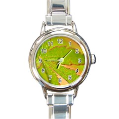 Leaf Round Italian Charm Watch by Siebenhuehner