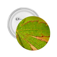 Leaf 2 25  Button