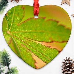 Leaf Heart Ornament by Siebenhuehner