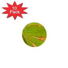 Leaf 1  Mini Button Magnet (10 Pack) by Siebenhuehner