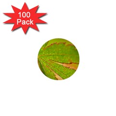 Leaf 1  Mini Button (100 Pack) by Siebenhuehner