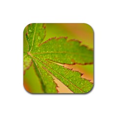 Leaf Drink Coaster (square) by Siebenhuehner