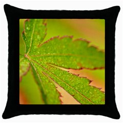 Leaf Black Throw Pillow Case by Siebenhuehner