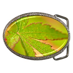 Leaf Belt Buckle (oval) by Siebenhuehner