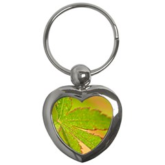 Leaf Key Chain (heart) by Siebenhuehner