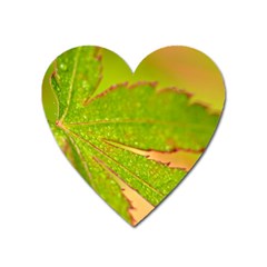 Leaf Magnet (heart) by Siebenhuehner