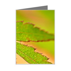 Leaf Mini Greeting Card by Siebenhuehner