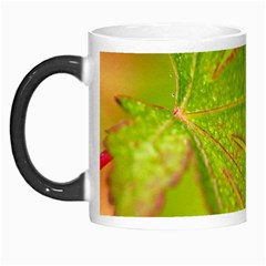 Leaf Morph Mug by Siebenhuehner