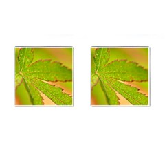 Leaf Cufflinks (square) by Siebenhuehner