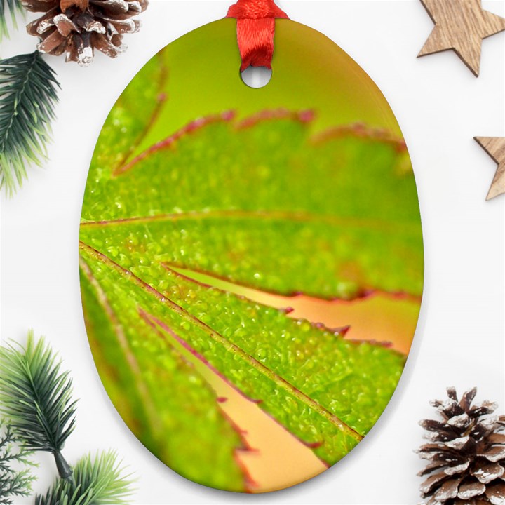 Leaf Oval Ornament (Two Sides)