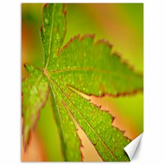 Leaf Canvas 12  X 16  (unframed) by Siebenhuehner