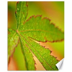 Leaf Canvas 16  X 20  (unframed) by Siebenhuehner