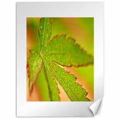 Leaf Canvas 36  X 48  (unframed)