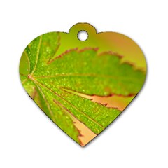 Leaf Dog Tag Heart (two Sided)