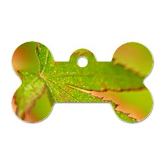 Leaf Dog Tag Bone (one Sided)