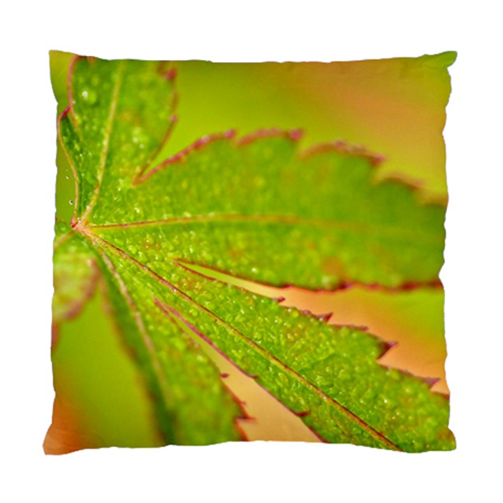 Leaf Cushion Case (Single Sided) 