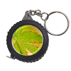 Leaf Measuring Tape by Siebenhuehner