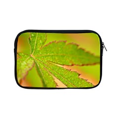 Leaf Apple Ipad Mini Zipper Case