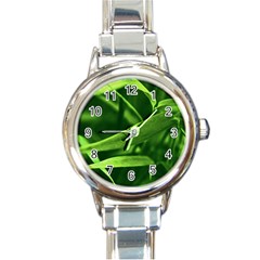 Bamboo Round Italian Charm Watch