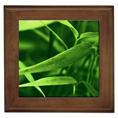 Bamboo Framed Ceramic Tile by Siebenhuehner