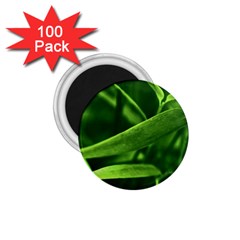 Bamboo 1 75  Button Magnet (100 Pack)