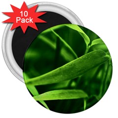 Bamboo 3  Button Magnet (10 Pack) by Siebenhuehner