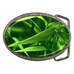 Bamboo Belt Buckle (oval)