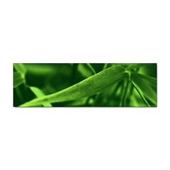 Bamboo Bumper Sticker by Siebenhuehner