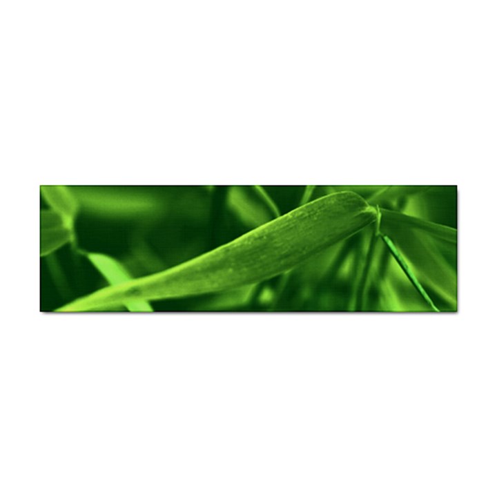 Bamboo Bumper Sticker 100 Pack